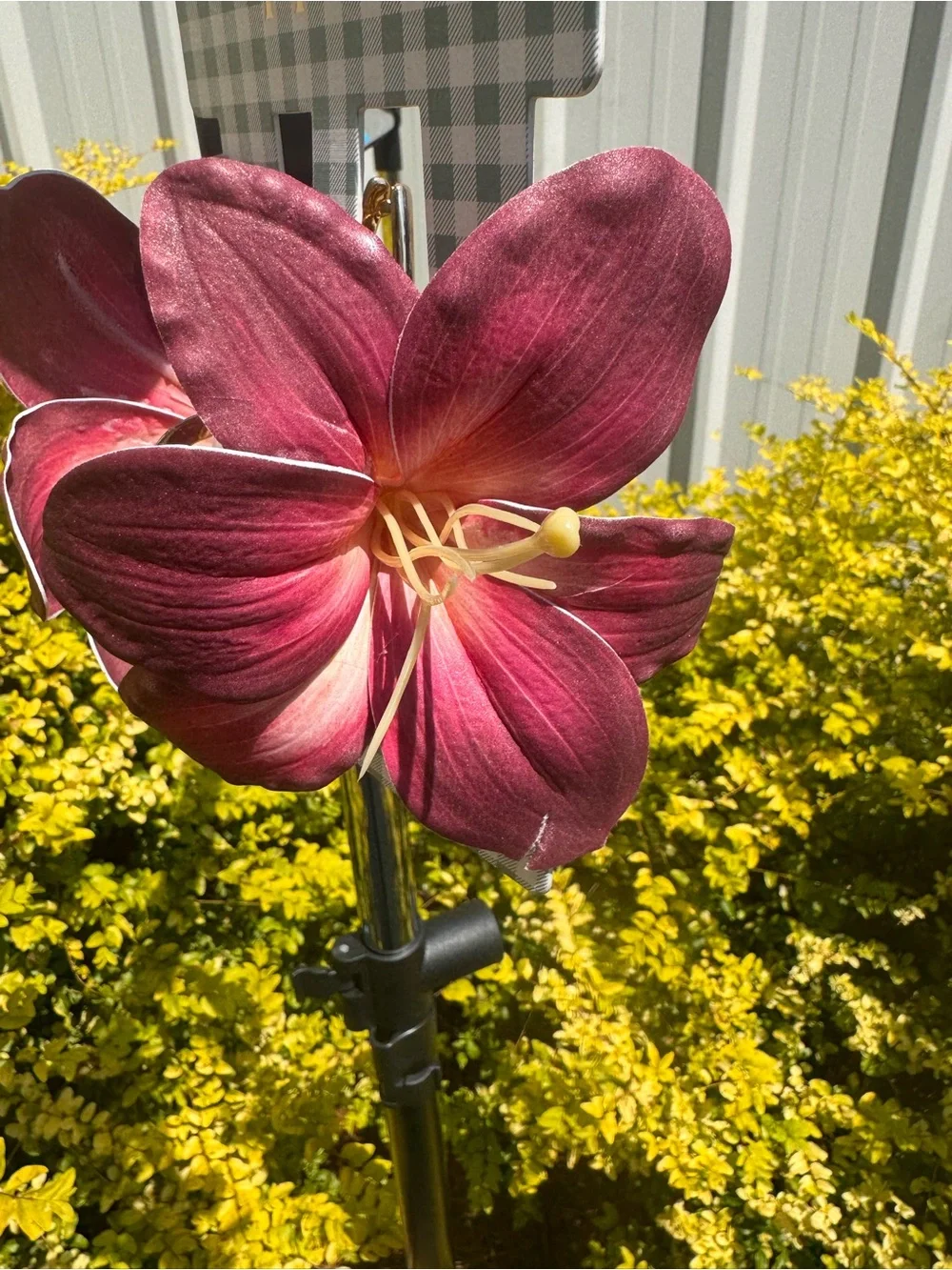NWT Piper K Floral Lily Hair Claw Clip Burgundy Pink Gold Statement Boho Cottage
